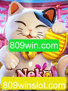 809win.com Casino App