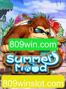 809win.com Jogo Responsável